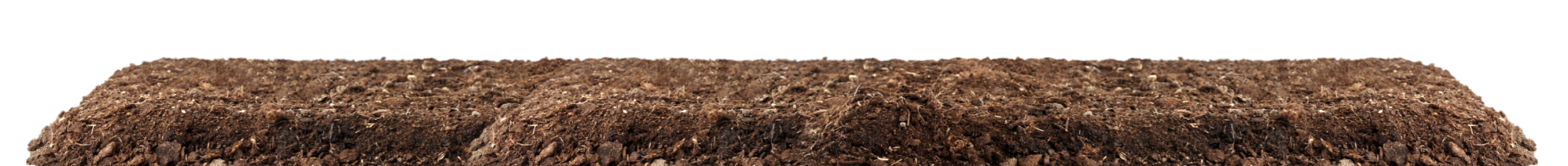 Cleantech company profile + Web look (6)