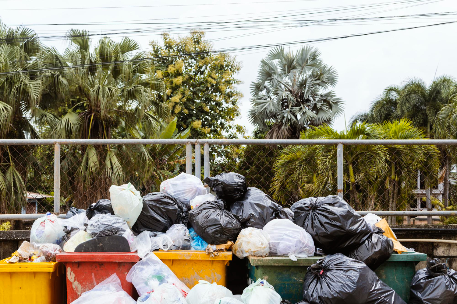 Overflowing trash bins filled with plastic bags and garbage in an outdoor area